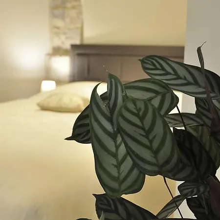 Stagnja 게스트하우스 4*