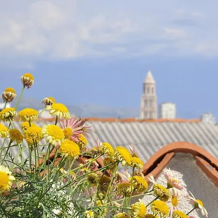 Stagnja 4* 스플리트