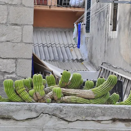 בית הארחה Stagnja 4*