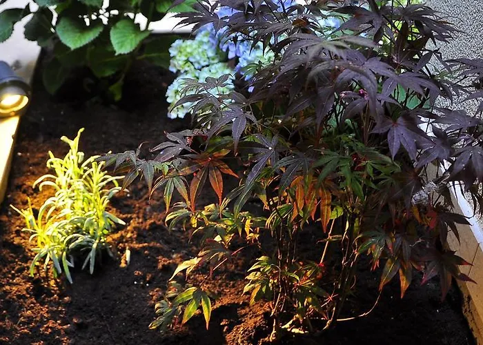 Stagnja スプリト